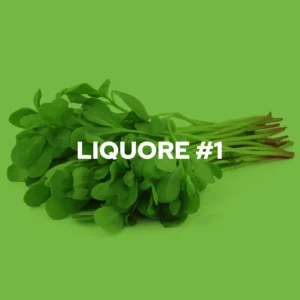 Liquore #1