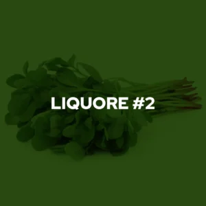 Liquore #2